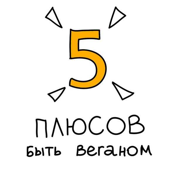 Как белки могут стать слабой точкой при отсутствии продуктов животного происхождения